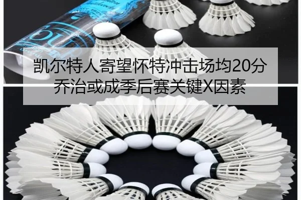 凯尔特人寄望怀特冲击场均20分 乔治或成季后赛关键X因素